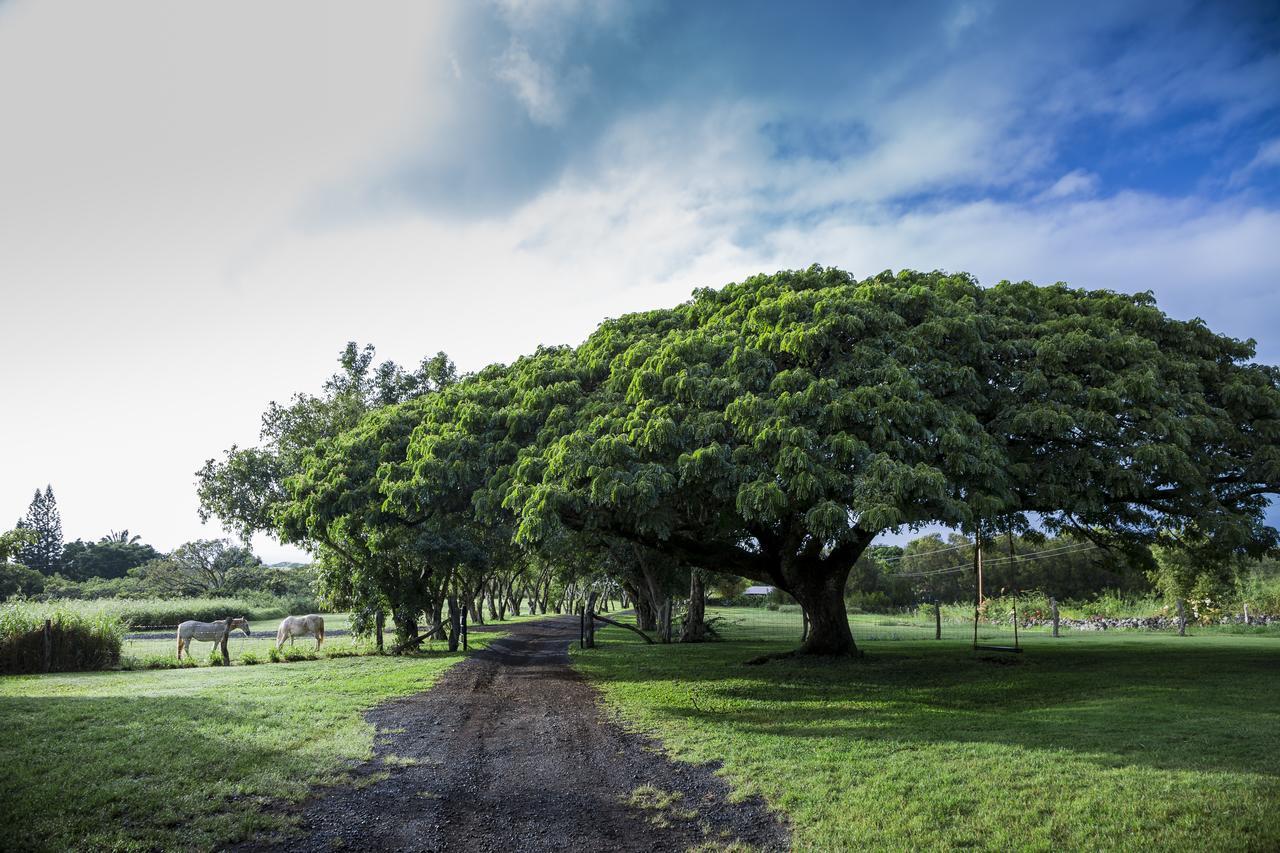 ホテル Puakea Ranch ハヴィ エクステリア 写真