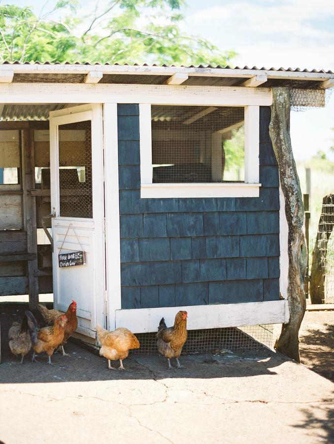 ホテル Puakea Ranch ハヴィ エクステリア 写真