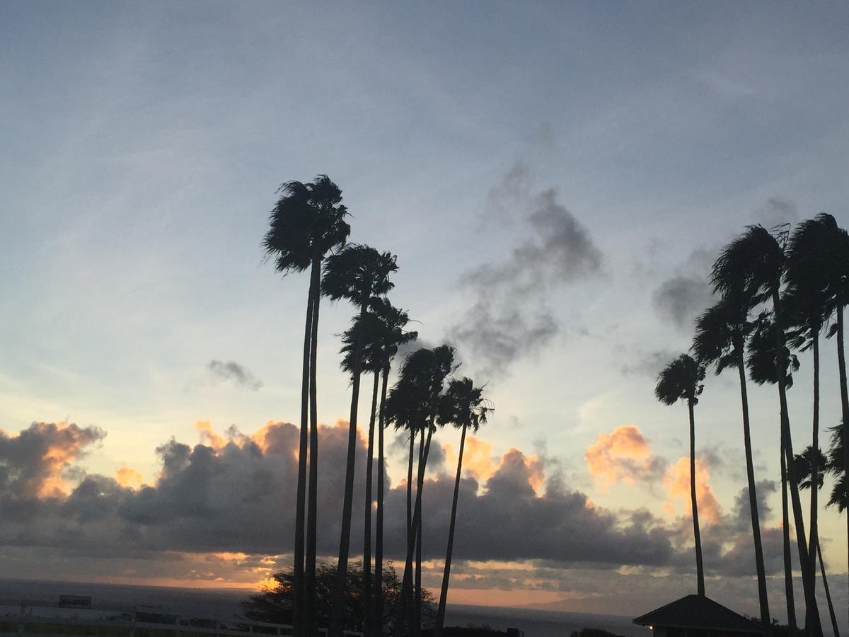 ホテル Puakea Ranch ハヴィ エクステリア 写真
